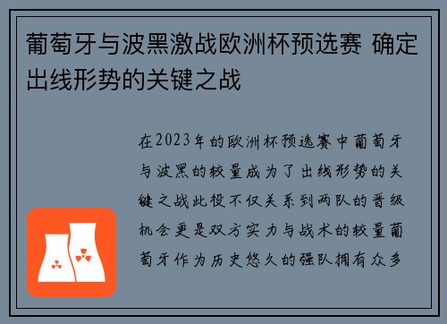 葡萄牙与波黑激战欧洲杯预选赛 确定出线形势的关键之战